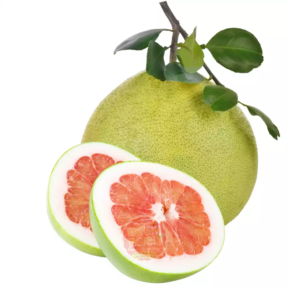 XỨ BƯỞI TÂN TRIỀU